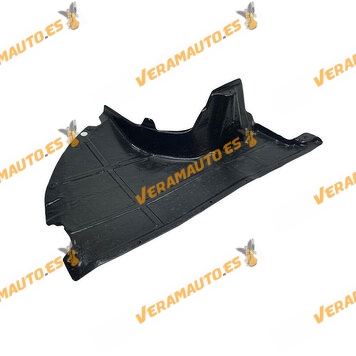 Protección Lateral Derecho Citroen Jumper | FIAT Ducato | Peugeot Boxer | de 2006 a Actualidad | ABS + PVC | OEM 1345512080