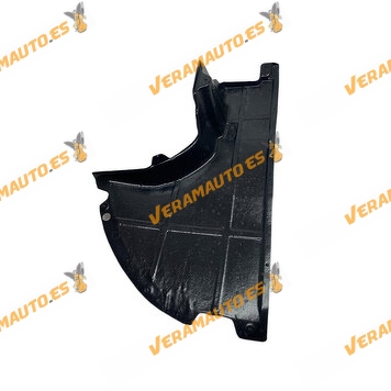 Protección Lateral Derecho Citroen Jumper | FIAT Ducato | Peugeot Boxer | de 2006 a Actualidad | ABS + PVC | OEM 1345512080