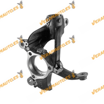Suspension Knuckle VAG Group | Front Axle Left | Without Wheel Bearing | Without Wheel Hub | OE 5Q0407255Q