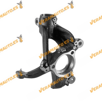 Suspension Knuckle VAG Group | Front Axle Right | Without Wheel Bearing | Without Wheel Hub | OE 5Q0407256Q