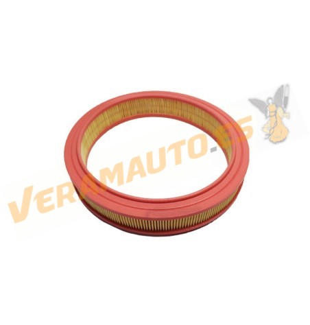 Filtro de Aire Filtron Ford Escort | Orion | Fiesta | Courier | OEM Similar a 6080390 | 93152533 | 79BF9601AN | 1444L5