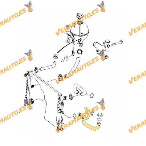 Radiator Hose Mercedes Sprinter 209-524 (W906) from 2006 to 2018 | 2.1 CDI | OE 9065012482 | A9065012482