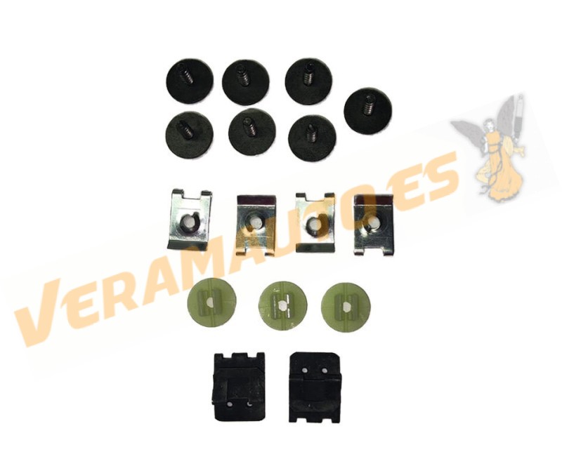 Juego Tornillería Protección Bajo Radiador Ford Focus II (DA) de 2004 a 2010 C-MAX (C214) de 2007 a 2010 | OE Similar 1131678