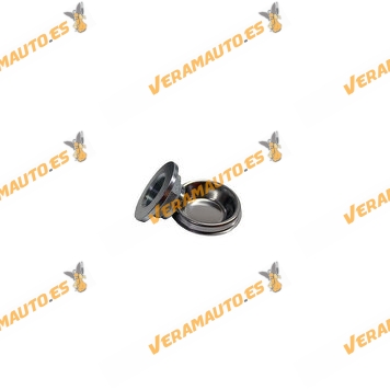 2 Rear Brake Discs with Wheel Hub Kit | Citroen Berlingo | C4 Picasso | Peugeot 3008 | 5008 | Partner | 4249.45