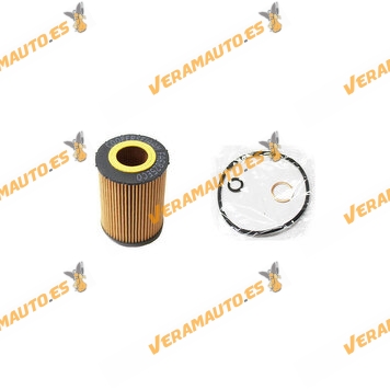 Filtro de Aceite COOPERSFIAAM BMW Serie 5 E60 | E61 | Serie 6 E63 | E64 | Serie 7 | E65 | E66 | E67 | X5 E70 | 11427542021
