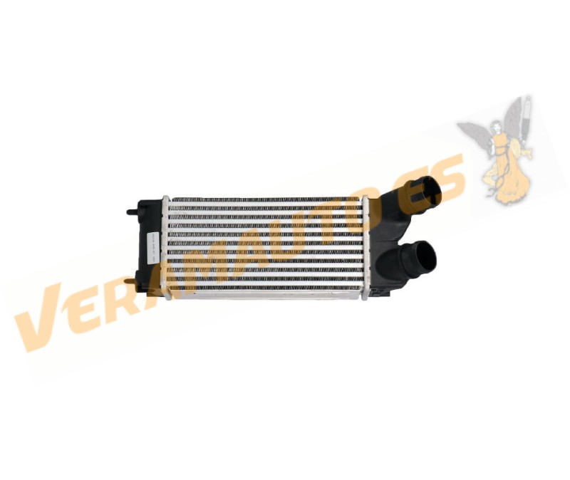Intercooler | Radiador Admisión Aire Citroen Berlingo Peugeot Partner 1.6 HDi de 2008 a 2018 | Diámetro 48mm | OE 0384L9