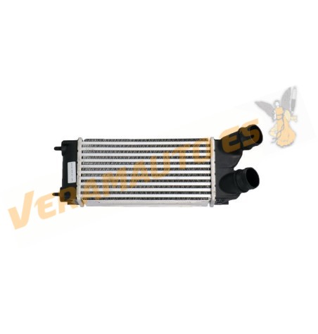 Intercooler | Radiador Admisión Aire Citroen Berlingo Peugeot Partner 1.6 HDi de 2008 a 2018 | Diámetro 48mm | OE 0384L9