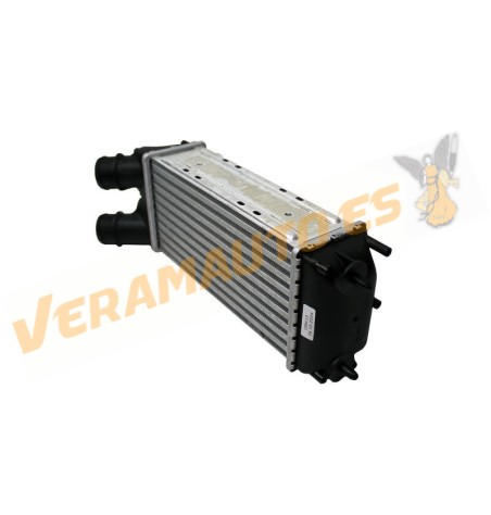 Intercooler | Radiador Admisión Aire Citroen Berlingo Peugeot Partner 1.6 HDi de 2008 a 2018 | Diámetro 48mm | OE 0384L9