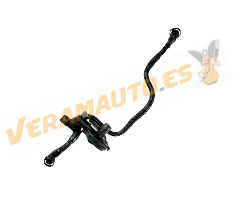 Decanter | PCV Valve | Audi Audi A4 (8E) A6 (C5) A8 (4E) | AUDI 3.0 V6 engines from 2000 to 2005 | OE 06C103217H