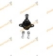 Suspension Ball Joint BMW X5 (E53) FROM 2000 to 2006 | Front | Right or Left | OE Similar 31126756491