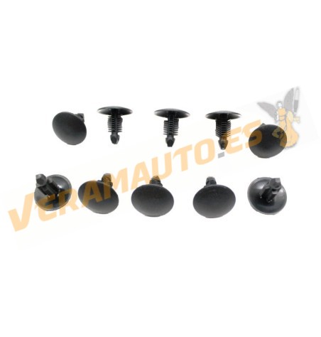 Set de 10 Grapas Citroen Jumper | FIAT Ducato | Peugeot Boxer | Tapizados y Alfombras