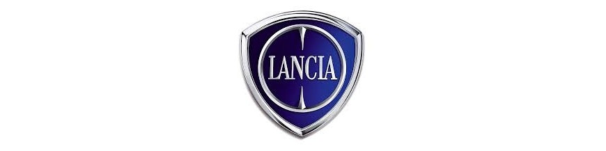 New parts and replacements for Lancia, window operators, mirrors, lights,